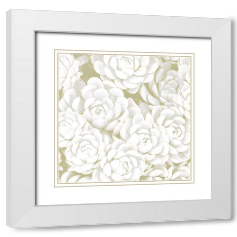 Succulent Sage 1 White Modern Wood Framed Art Print with Double Matting by Allen, Kimberly