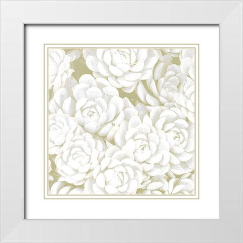 Succulent Sage 1 White Modern Wood Framed Art Print with Double Matting by Allen, Kimberly