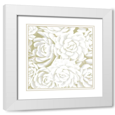 Succulent Sage 2 White Modern Wood Framed Art Print with Double Matting by Allen, Kimberly