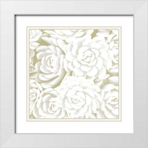 Succulent Sage 2 White Modern Wood Framed Art Print with Double Matting by Allen, Kimberly