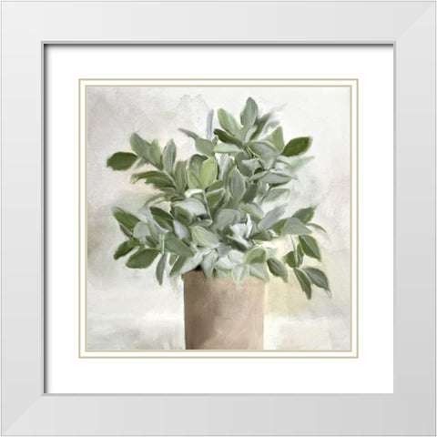 Radiance White Modern Wood Framed Art Print with Double Matting by Allen, Kimberly