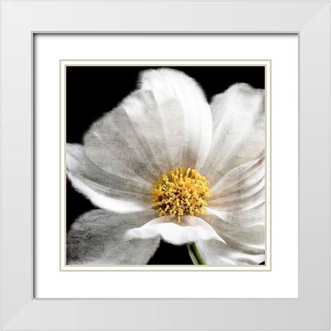 Yellow Center White Modern Wood Framed Art Print with Double Matting by Allen, Kimberly