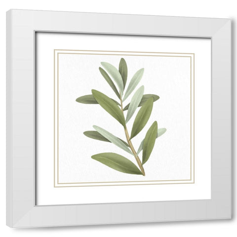 Olive Branch 1 White Modern Wood Framed Art Print with Double Matting by Allen, Kimberly