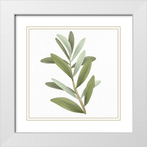 Olive Branch 1 White Modern Wood Framed Art Print with Double Matting by Allen, Kimberly