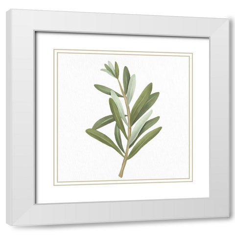 Olive Branch 2 White Modern Wood Framed Art Print with Double Matting by Allen, Kimberly