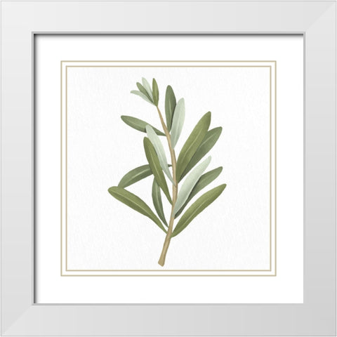 Olive Branch 2 White Modern Wood Framed Art Print with Double Matting by Allen, Kimberly