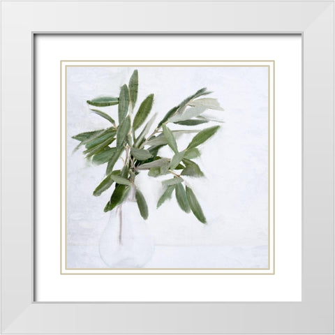 Olive Branches White Modern Wood Framed Art Print with Double Matting by Allen, Kimberly