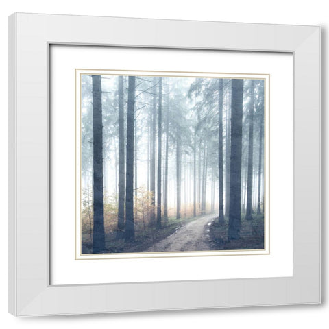 Forest Road White Modern Wood Framed Art Print with Double Matting by Allen, Kimberly
