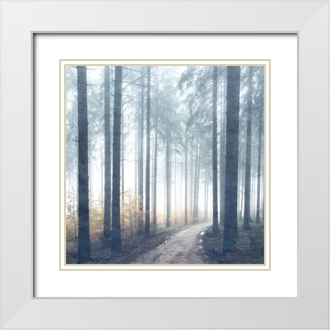 Forest Road White Modern Wood Framed Art Print with Double Matting by Allen, Kimberly