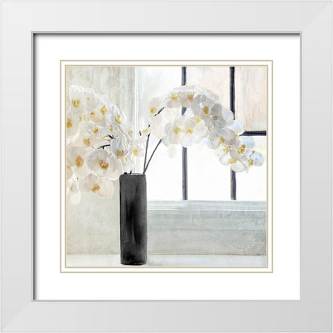 Orchid Window White Modern Wood Framed Art Print with Double Matting by Allen, Kimberly