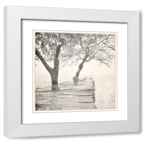 Tree Pier White Modern Wood Framed Art Print with Double Matting by Allen, Kimberly