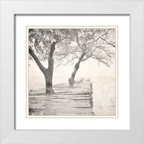 Tree Pier White Modern Wood Framed Art Print with Double Matting by Allen, Kimberly