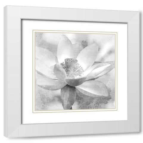 Lotus White Modern Wood Framed Art Print with Double Matting by Allen, Kimberly