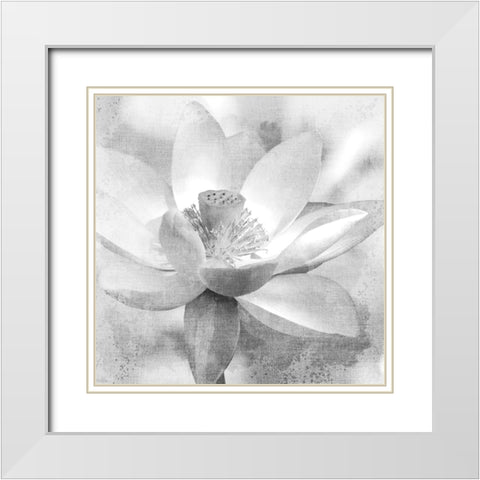 Lotus White Modern Wood Framed Art Print with Double Matting by Allen, Kimberly