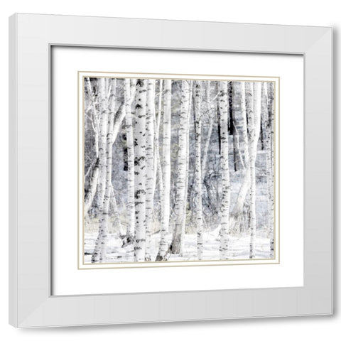 Aspen Snow 1 White Modern Wood Framed Art Print with Double Matting by Allen, Kimberly