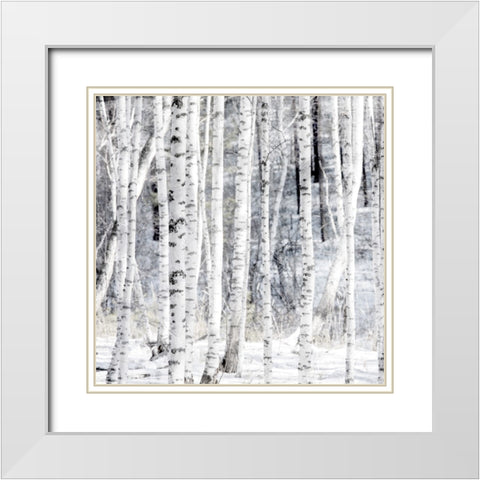 Aspen Snow 1 White Modern Wood Framed Art Print with Double Matting by Allen, Kimberly