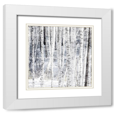 Aspen Snow 2 White Modern Wood Framed Art Print with Double Matting by Allen, Kimberly