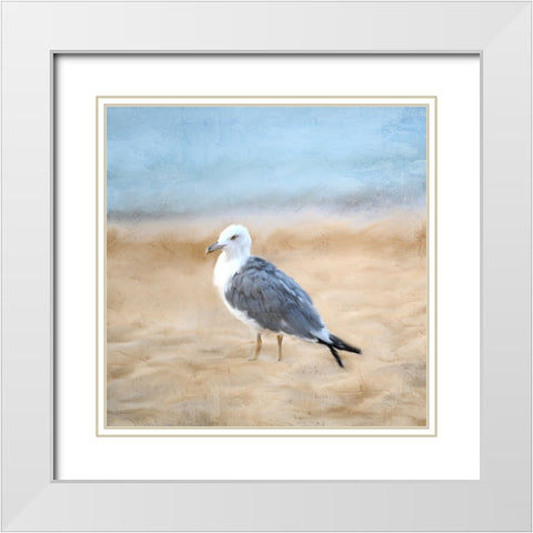 Seagull White Modern Wood Framed Art Print with Double Matting by Allen, Kimberly