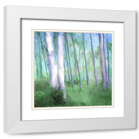 Aspen Grove White Modern Wood Framed Art Print with Double Matting by Allen, Kimberly