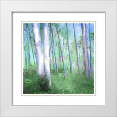 Aspen Grove White Modern Wood Framed Art Print with Double Matting by Allen, Kimberly