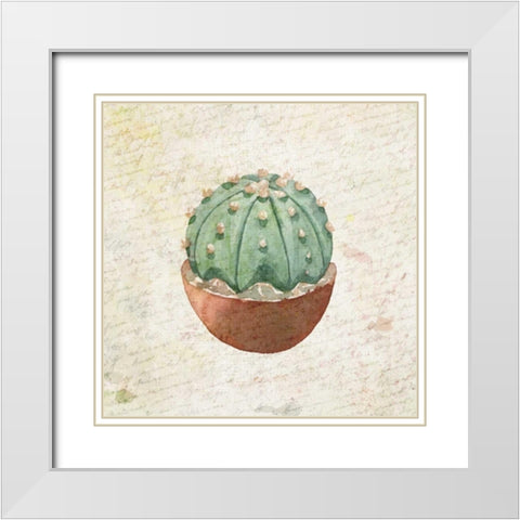 Desert Life 1 White Modern Wood Framed Art Print with Double Matting by Allen, Kimberly