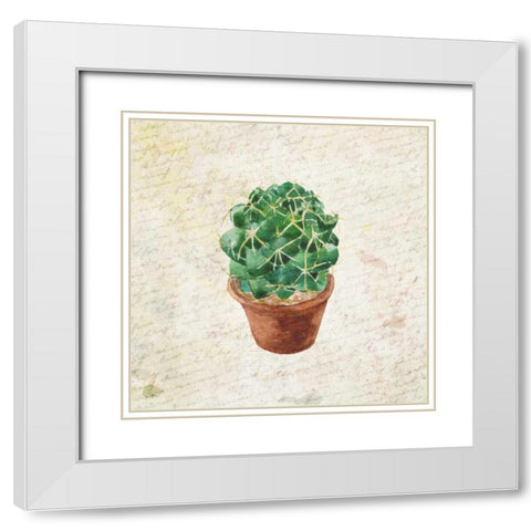 Desert Life 2 White Modern Wood Framed Art Print with Double Matting by Allen, Kimberly