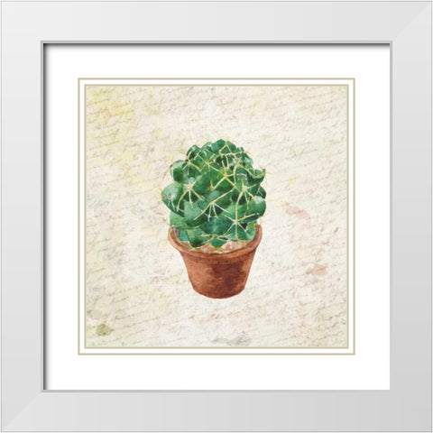 Desert Life 2 White Modern Wood Framed Art Print with Double Matting by Allen, Kimberly