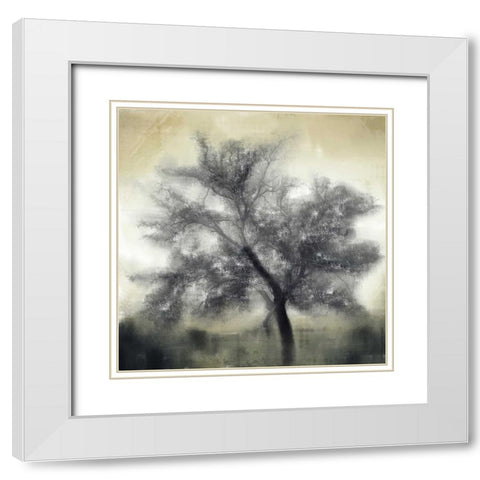 Evening Shadows White Modern Wood Framed Art Print with Double Matting by Allen, Kimberly