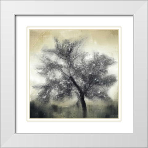 Evening Shadows White Modern Wood Framed Art Print with Double Matting by Allen, Kimberly