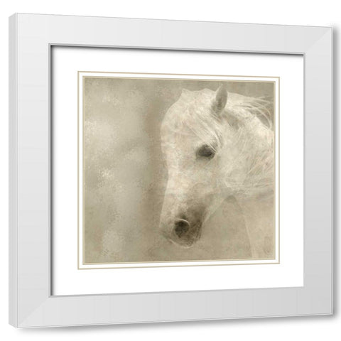 White Mane White Modern Wood Framed Art Print with Double Matting by Allen, Kimberly