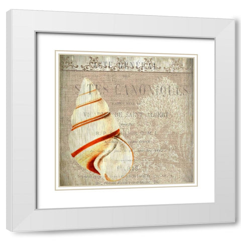Coastal Dreams 1 White Modern Wood Framed Art Print with Double Matting by Allen, Kimberly