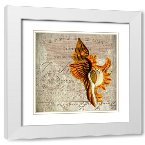 Coastal Dreams 2 White Modern Wood Framed Art Print with Double Matting by Allen, Kimberly