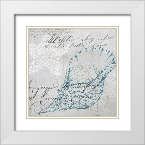 Vintage Shells 1 White Modern Wood Framed Art Print with Double Matting by Kimberly, Allen