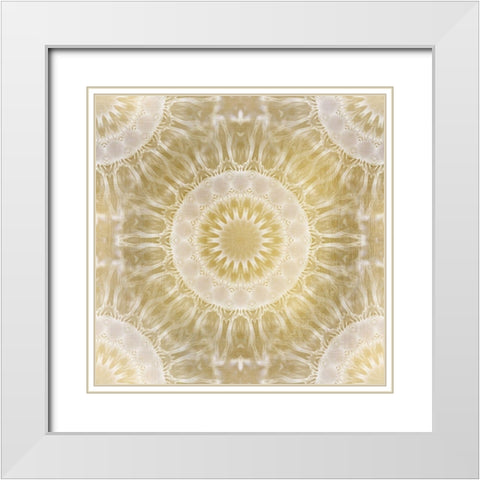 Metallic Medallion White Modern Wood Framed Art Print with Double Matting by Kimberly, Allen