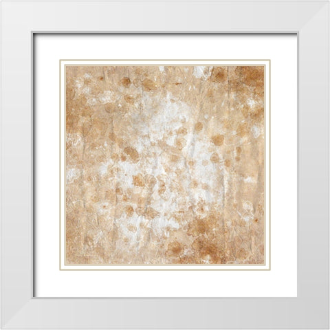 In the Cosmos White Modern Wood Framed Art Print with Double Matting by Kimberly, Allen