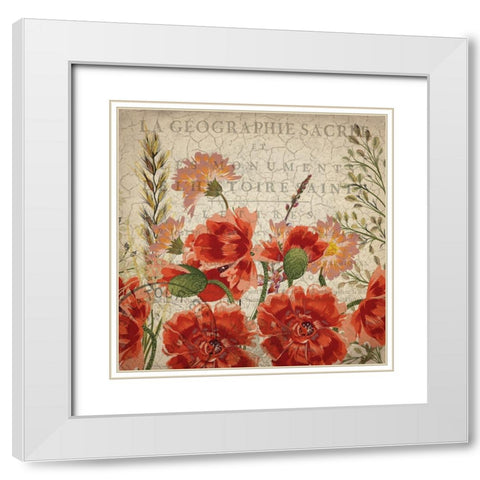 Springtime Blooms White Modern Wood Framed Art Print with Double Matting by Kimberly, Allen