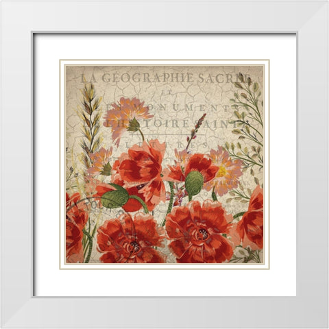 Springtime Blooms White Modern Wood Framed Art Print with Double Matting by Kimberly, Allen