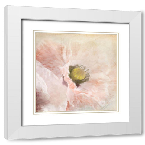 Poppy  White Modern Wood Framed Art Print with Double Matting by Kimberly, Allen