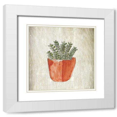 Spring Cactus 2 White Modern Wood Framed Art Print with Double Matting by Kimberly, Allen