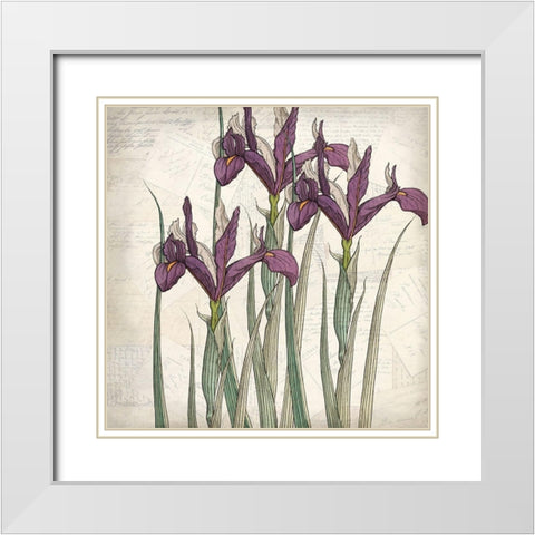 Shades of Purple 3 White Modern Wood Framed Art Print with Double Matting by Kimberly, Allen
