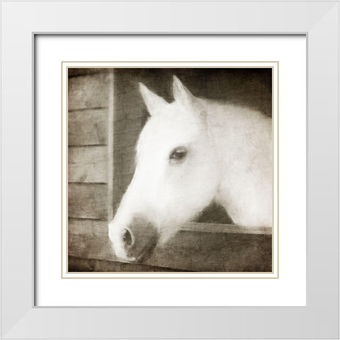 Glory White Modern Wood Framed Art Print with Double Matting by Allen, Kimberly