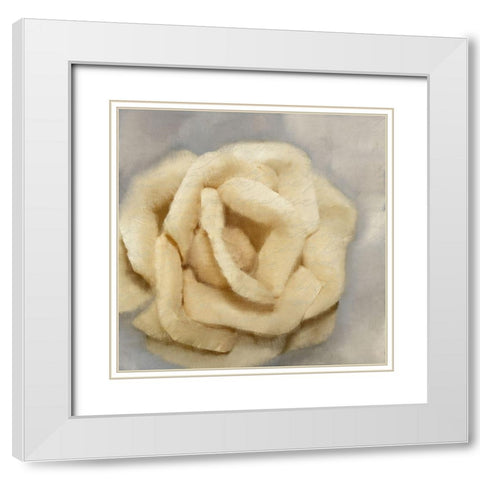 Rosa 1 White Modern Wood Framed Art Print with Double Matting by Kimberly, Allen