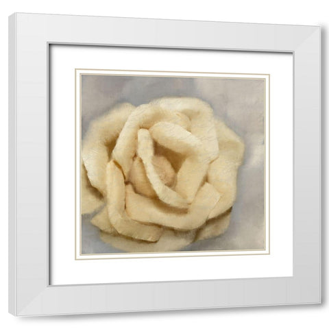 Rosa 1 White Modern Wood Framed Art Print with Double Matting by Kimberly, Allen