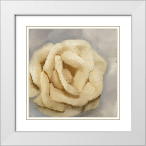 Rosa 1 White Modern Wood Framed Art Print with Double Matting by Kimberly, Allen