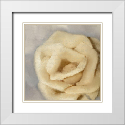 Rosa 2 White Modern Wood Framed Art Print with Double Matting by Kimberly, Allen