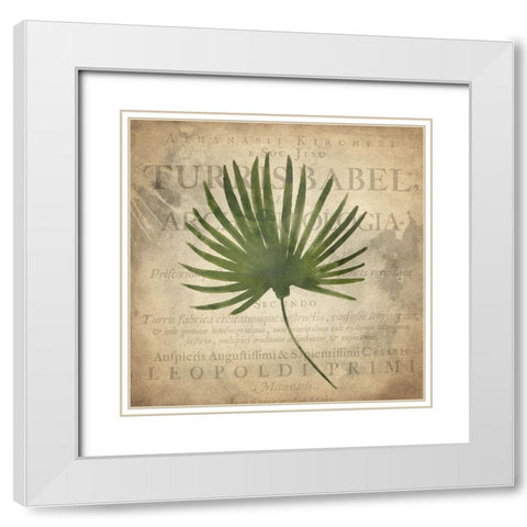 Palms A White Modern Wood Framed Art Print with Double Matting by Kimberly, Allen