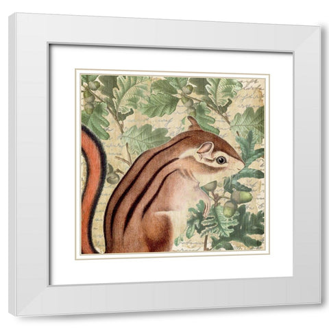 Chipmunk Square 1 White Modern Wood Framed Art Print with Double Matting by Kimberly, Allen