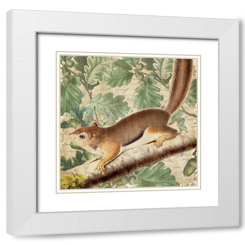 Chipmunk Square 2 White Modern Wood Framed Art Print with Double Matting by Kimberly, Allen