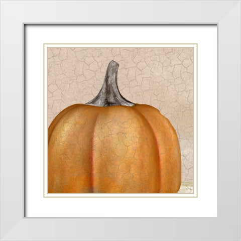 Copper Pumpkin White Modern Wood Framed Art Print with Double Matting by Kimberly, Allen