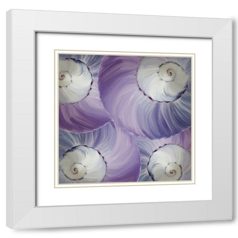 Violet Shell 1 White Modern Wood Framed Art Print with Double Matting by Kimberly, Allen